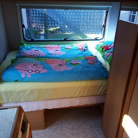 Urlaub Machen Direkt Am Irland Das Kinderparadies In Twisteden Im Grossen Garten Bei Privatleute Fur Maximal Sechs Personen Кевелар Екстер'єр фото