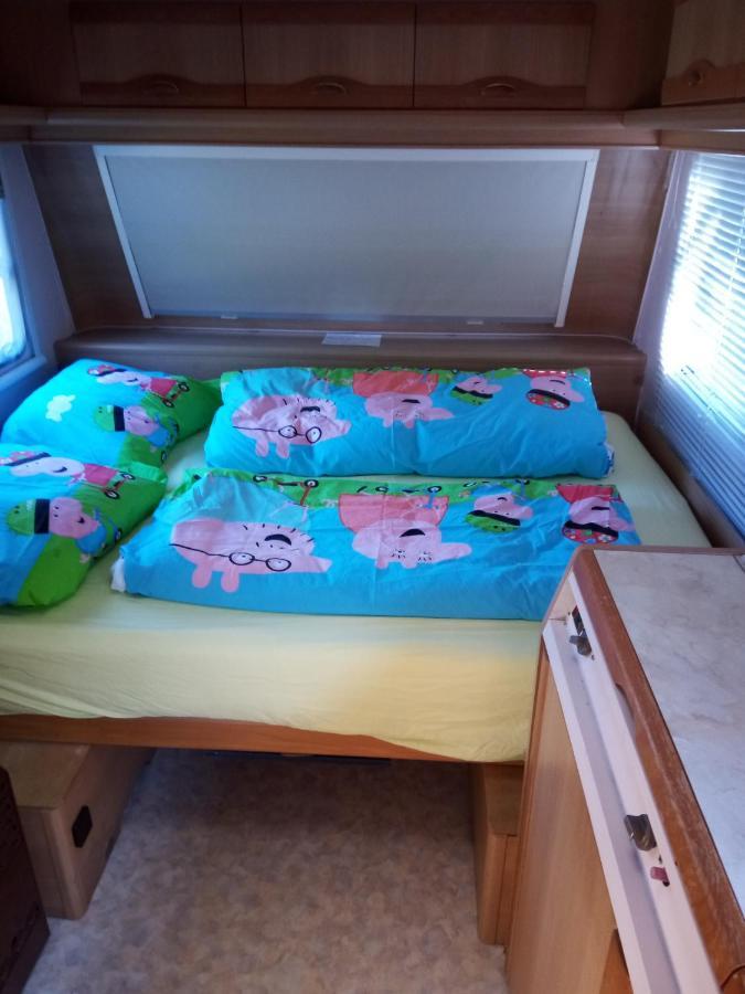 Urlaub Machen Direkt Am Irland Das Kinderparadies In Twisteden Im Grossen Garten Bei Privatleute Fur Maximal Sechs Personen Кевелар Екстер'єр фото