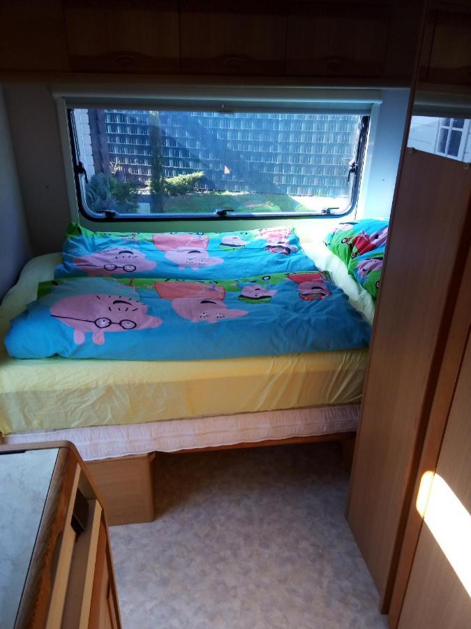 Urlaub Machen Direkt Am Irland Das Kinderparadies In Twisteden Im Grossen Garten Bei Privatleute Fur Maximal Sechs Personen Кевелар Екстер'єр фото